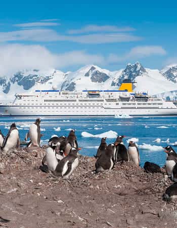 Falklandeilanden  Reisinformatie  Landenkompas