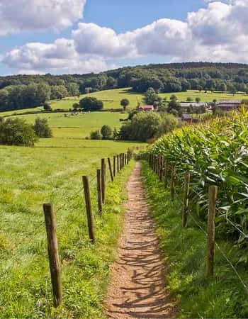 Dutch Mountain Trail: Wandeling langs de Seven Summits van Nederland