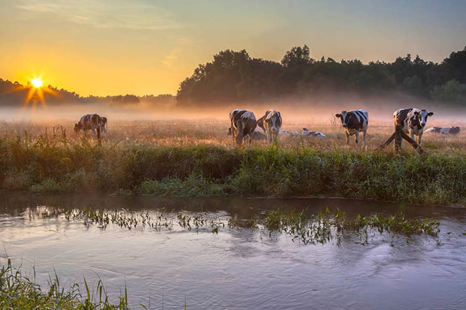 Overijssel Province  Netherlands Tourism