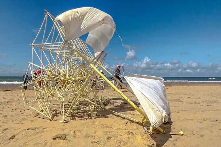 Strandbeest van Theo Jansen zien? Het kan op dit strand!