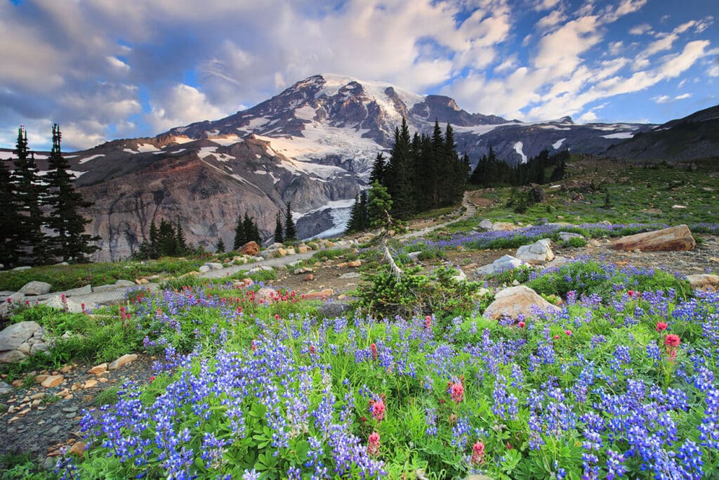 Rocky Mountains: 23 Mooiste Natuurparken en Locaties + Tips